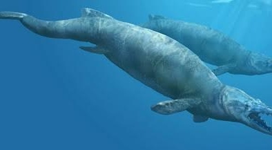 Bất ngờ phát hiện cá voi cổ đại chứa hóa thạch cá voi khác