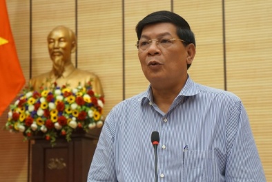 Lãnh đạo Hà Nội ‘nhấn mạnh’ điều gì sau cơn mưa giông hàng ngàn cây xanh bị đổ?