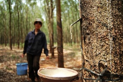 Nhiều đại gia rút khỏi nông nghiệp