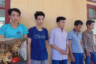 3 đối tượng trộm chó ở Thanh Hóa ra đầu thú