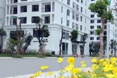 Hà Nội tính chuyện thuê chung cư cao cấp cho dân ở