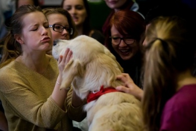 Nâng cao năng suất làm việc nhờ mang thú cưng đến văn phòng