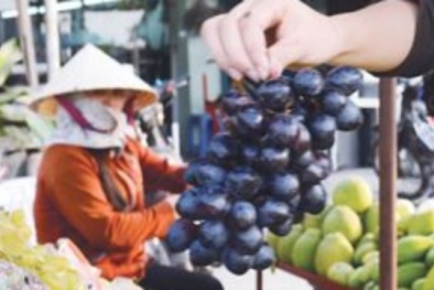 TP.HCM: Hoang mang trái cây giá rẻ không rõ nguồn gốc