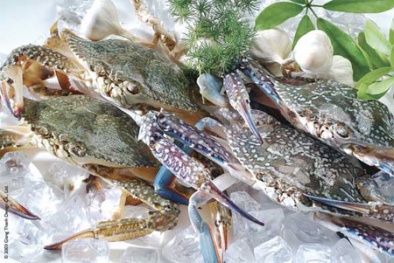 Trung Quốc: Phát hiện hóa chất độc hại tại nhà hàng buffet hải sản