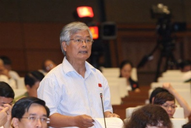 Trao quyền điều tra cho thuế, chứng khoán: ĐBQH lo án oan sai gia tăng