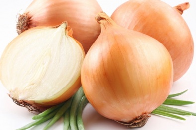 Kỹ thuật trồng hành tây đơn giản cho năng suất cao nhất