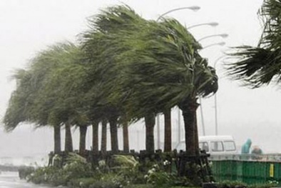 Dự báo thời tiết ngày mai 24/6/2015: Bắc Bộ có mưa to, đề phòng tố lốc 