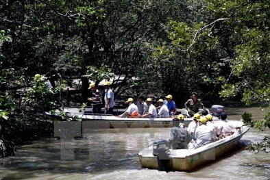 Du lịch hè: Nhiều tour mới lạ và chính sách giảm giá hấp dẫn