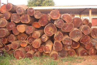 Tin tức pháp luật mới nhất 24h hôm nay ngày 23/6