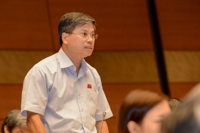 Có nên cụ thể hóa các vấn đề cần trưng cầu ý dân?