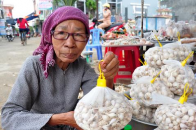 Làm sao để tỏi Lý Sơn kiếm triệu đô như tỏi Mỹ?