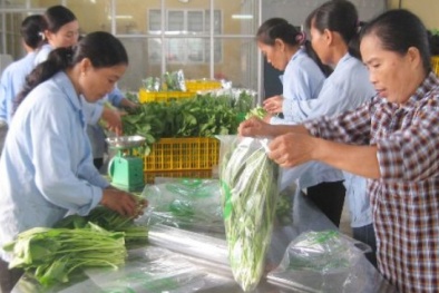 Đọc báo hôm nay: Những tin tức mới cập nhật ngày 24/6/2015