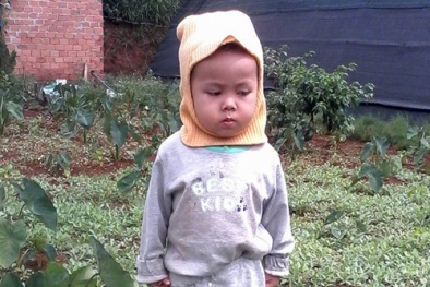 Tin tức pháp luật mới nhất hôm nay ngày 24/6