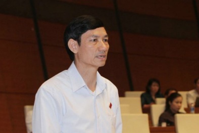 ĐBQH lo 'ngoài sân mưa ầm ầm, trong nhà tivi dự báo nắng chang chang'
