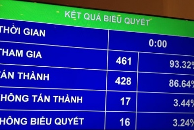 Gần 87% ĐBQH tán thành chủ trương đầu tư sân bay Long Thành