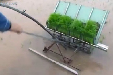 Nông dân Thái Bình chế tạo thành công máy cấy lúa không động cơ