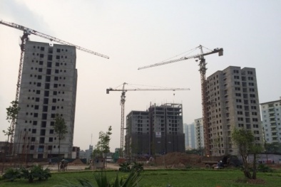 Phí bảo lãnh BĐS: Nghị định mới trình, Thông tư chưa ban hành, DN 'ngóng'..