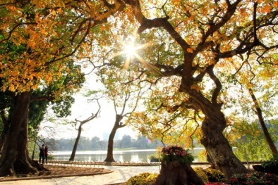 Dự báo thời tiết ngày mai 30/6/2015: Ngày nắng, chiều tối có mưa và dông trên diện rộng 