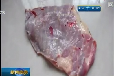 Rùng mình với miếng thịt bò sắp nấu vẫn còn động đậy