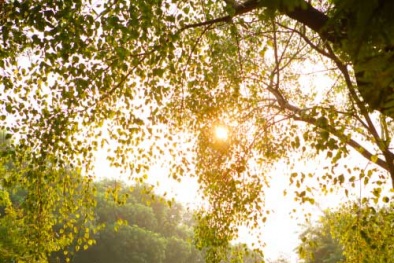 Dự báo thời tiết ngày mai 2/7/2015: Ngày nắng nóng, chiều tối có mưa vài nơi 