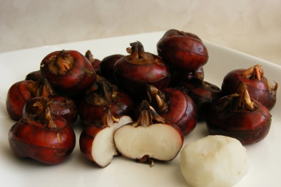 Công dụng trị bệnh đa năng từ củ mã thầy