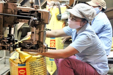 Gỡ vướng thuế giá trị gia tăng cho gạo, phân bón, thức ăn chăn nuôi