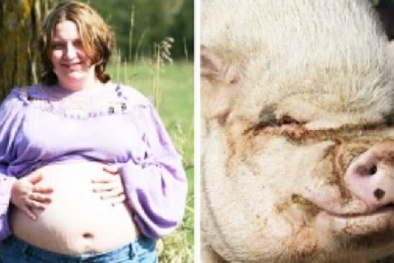 Cô gái Mỹ tố bị một con lợn hãm hiếp và mang thai