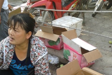 Nhập nhèm nguồn gốc, đào Trung Quốc đội lốt đào mỏ quạ Sapa