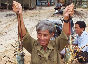  Tôm hùm nuôi trên… cạn cho tỷ lệ sống cao bất ngờ