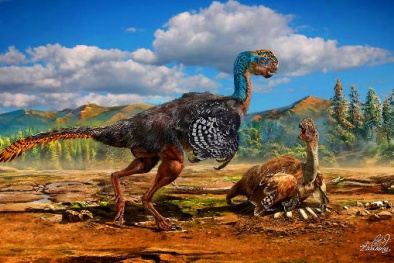 Phát hiện hóa thạch khủng long kỳ lạ ở Trung Quốc 