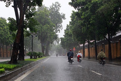 Dự báo thời tiết ngày mai 7/7/2015: Mưa rào trên cả nước 
