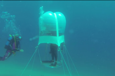 Trồng rau dưới đáy biển