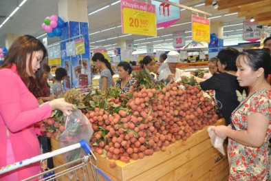 Vải phá giá vẫn vắng người mua: Miền Bắc ế thừa, miền Nam đắt đỏ