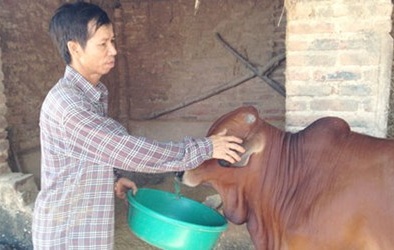 Vụ án oan Nguyễn Thanh Chấn: Được minh oan vẫn chưa yên thân