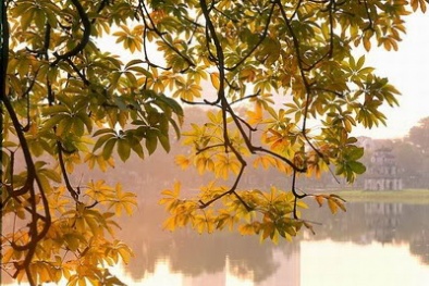 Dự báo thời tiết ngày mai 9/7/2015: Ngày nắng, chiều tối có mưa rải rác 