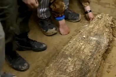 Khai quật xác ướp Trung cổ bí ẩn trong vỏ cây