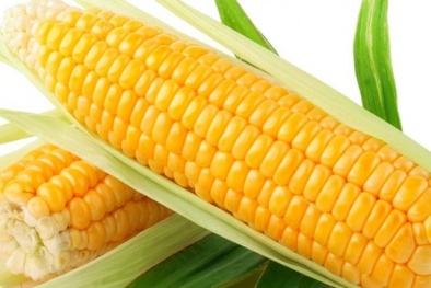 Giá trị dinh dưỡng ít người biết về ngô