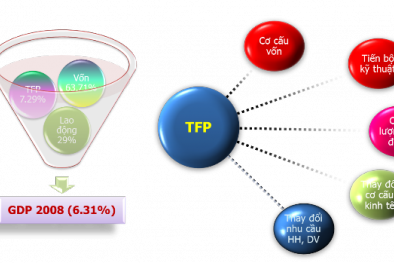 Giải pháp nào để tăng TFP một cách bền vững?