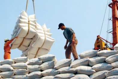 Đọc báo hôm nay: Những tin tức mới cập nhật 24h ngày 9/7/2015