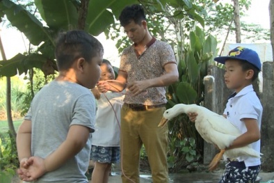 Bố ơi! Mình đi đâu thế? 2: Các bé thích thú bắt lợn, ngan làm thú cưng