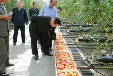 Sợ ngộ độc, Chủ tịch Triều Tiên bắt soi rau bằng kính hiển vi