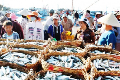 Sửa đổi và bổ sung Nghị định 67 về một số chính sách phát triển thủy sản 