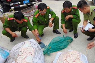 Tin tức pháp luật mới nhất hôm nay ngày 13/7