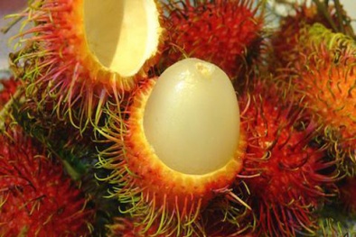 Cách xử trí nhanh khi trẻ hóc dị vật 