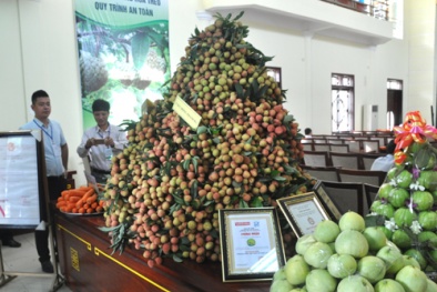 Hải Dương: TFP trong GDP đạt từ 25-30% vào năm 2020