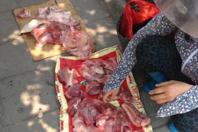Phát kinh 'thịt lạnh': Mua chợ tươi về nhà bốc mùi thối