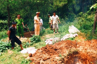 Cao Bằng: Bắt giữ 145kg vịt thương phẩm nhập lậu từ Trung Quốc