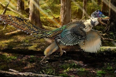 Phát hiện khủng long có cánh lớn nhất thế giới ở Trung Quốc 