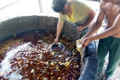 Kinh hoàng quy trình sản xuất mỡ bẩn lẫn cả... phân