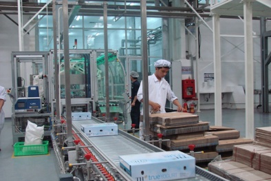 Sự thật về câu chuyện TH True Milk bị cưỡng chế hải quan